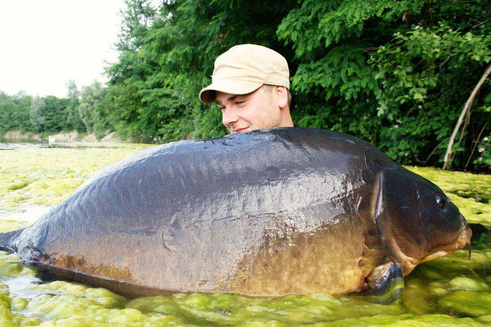 crapi mari - 48216430803732265853822732171n.jpg